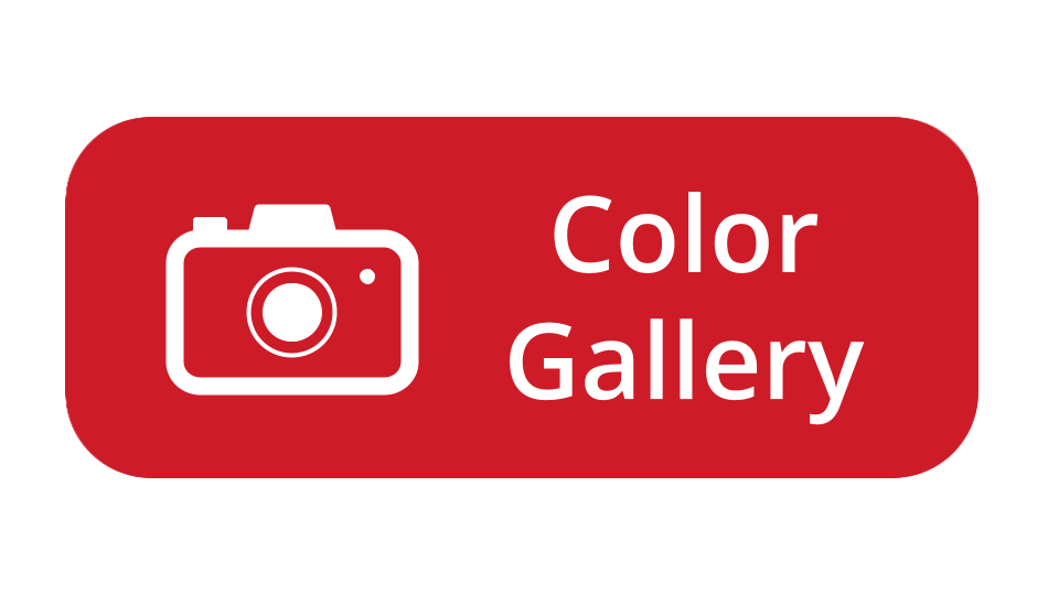 Color Gallery Button